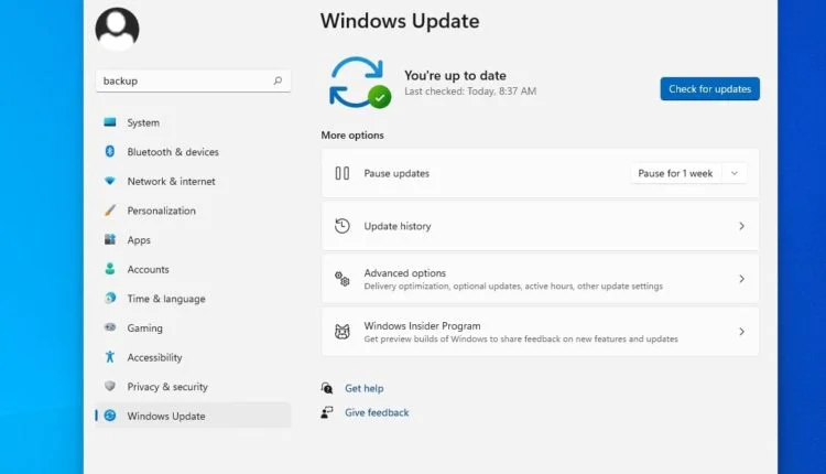 windows 11 actualización