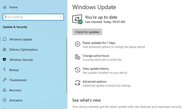 Buscar actualizaciones