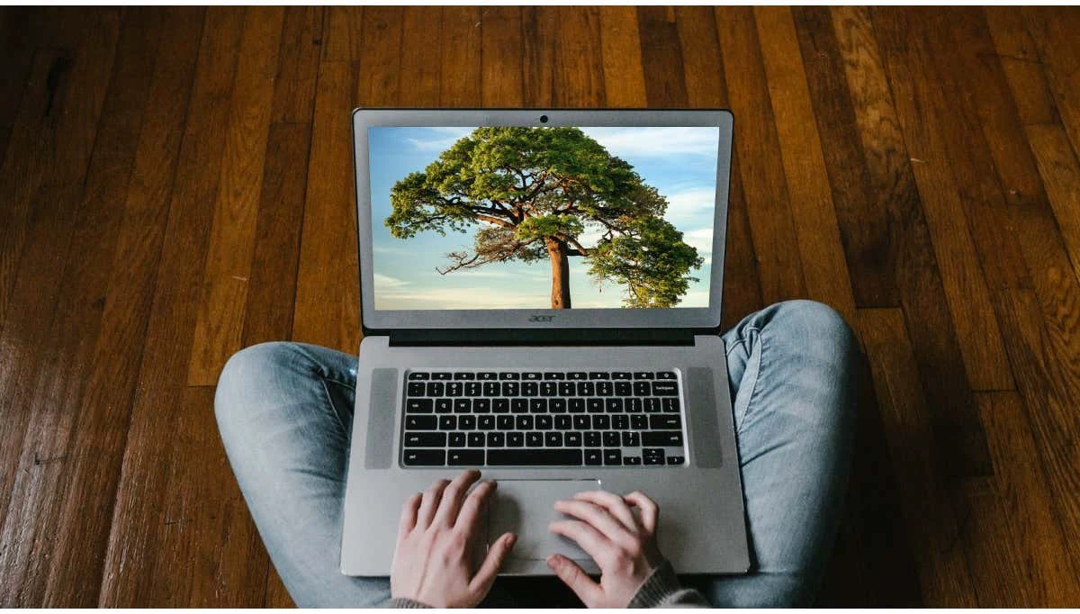 Cómo cambiar el fondo de pantalla de tu Chromebook (y dónde encontrar fondos de pantalla divertidos)