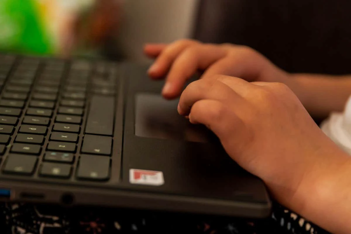 ¿El panel táctil o el mouse de Chromebook no funcionan? 13 correcciones para probar